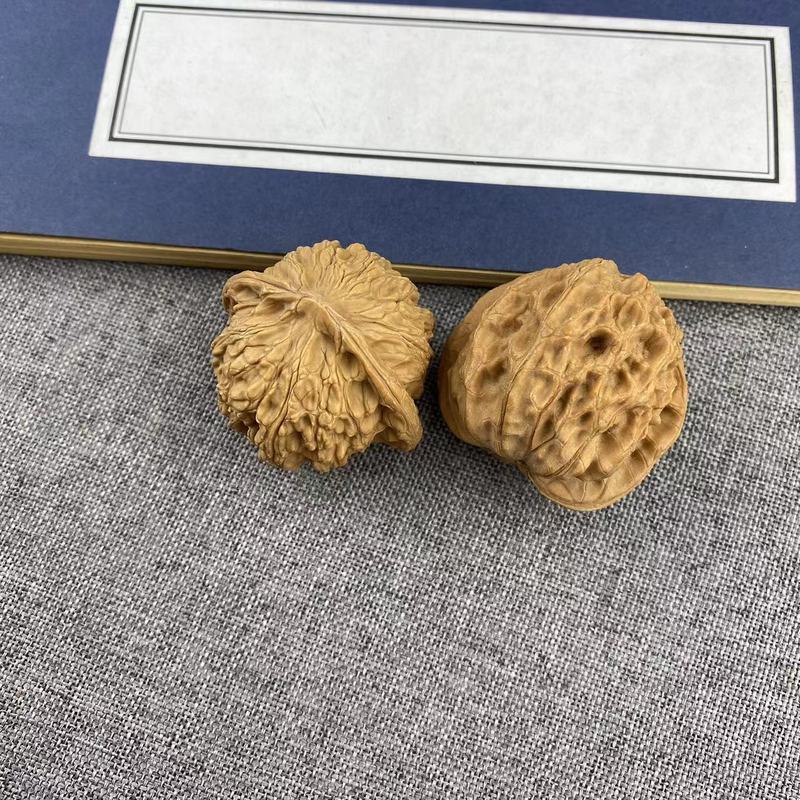 開背ヒキガエルの頭の文はクルミの低い杭を遊んで、先の古い木の延慶の金のヒキガエルの手は収集級の男女を遊んでクルミを遊びます。|undefined