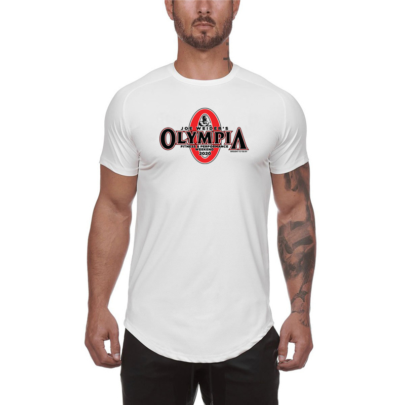 breathable quick dry sports fashionable T-shirt for gym for leisure