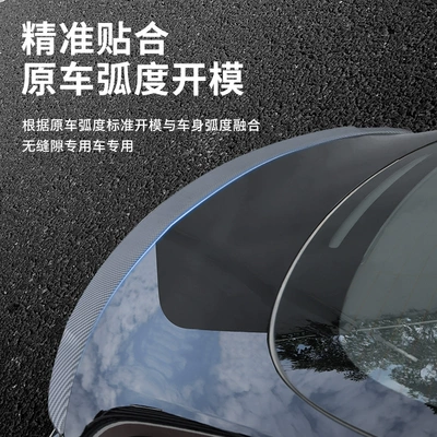 Wing Carbon Fiber Pattern High-Performance P — Fixed wind wing