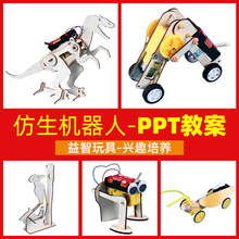 儿童启蒙益智木质类科教拼装玩具 仿生机器人创意实验diy小发明