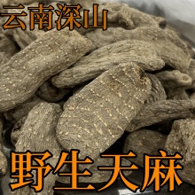 正宗野生天麻特级云南昭通小草坝天麻干货正品中药材切片磨粉头疼