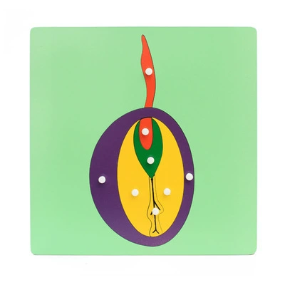 Brainteaser Montessori, teaching aids, professional smart toy