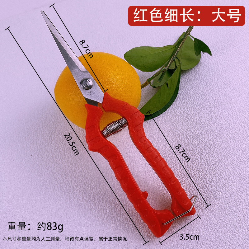 Yangjiang árboles frutales tijeras de corte de ramas de acero inoxidable tijeras de jardinería casera cortar ramas de árboles cortar naranja extraña naranja especial