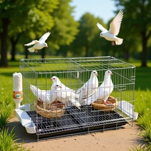 ���ӻ\�Bֳ�\��̖�����ۯB�����෱ֳ�䌦�\������Ʒ�u�\�����B�\