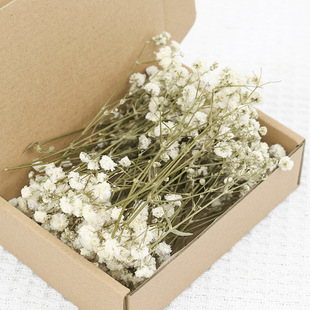 ����������ɢ�b�M���Ƕ̗U�ɻ������� DIY���� ֧�����l���羳