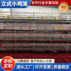 加粗加密雏鸡笼育雏笼七彩山鸡养殖笼四层一体式小鸡笼家用鸡笼子