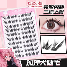 免胶狐狸犬大容量假睫毛自然逼真分段式单簇狐系睫书毛漫画眼上镜
