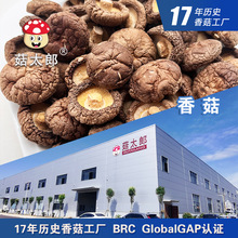 金钱菇小香菇干货3-3.5cm干香菇剪根干椎茸脱水蘑菇冬菇基地备案