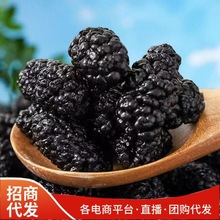 新货黑桑葚干500g干净无沙可食用泡酒泡水厂家直供大颗粒桑葚干