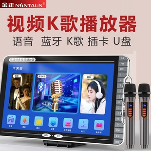 Jinzheng E12 Hd Video Player Wireless Microphone Karaoke Audio with Screen Singing and Drama Machine