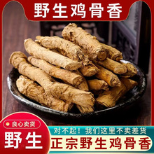 正品野生鸡骨香新货中药材500g正宗全根土沉香鸡脚香驳骨消过山香