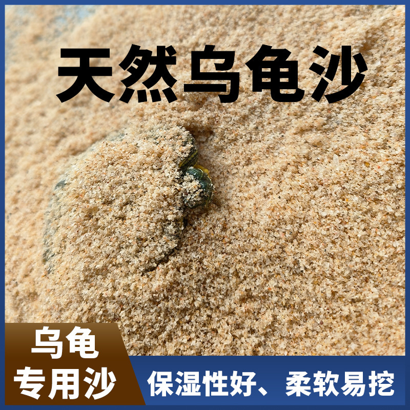 Turtle Sand Aquarium Turtle Tank Landscaping Substrate Sand Tortoise Breeding Hibernation Incubation Egg-Laying Sand Cotton Stream Sand Turtle Sand Aquarium Turtle Tank Landscaping Substrate Sand Tortoise Breeding Hibernation Incubation Egg-Laying Sand Cotton Stream Sand