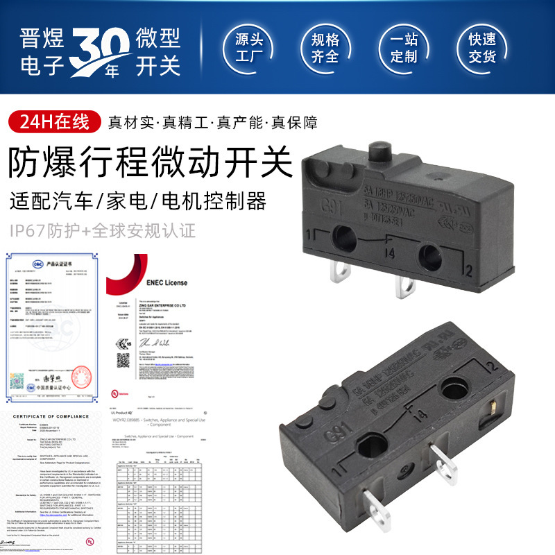 Explosion-Proof Vehicle Micro Switch G9105-150S00D Water Heater Stove Ice Maker Zingear Travel Switch