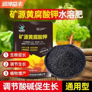 �VԴ�S����� ���o�������L�{�����r�ø��������{�����|�ͺϷ�