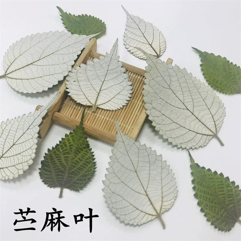 Листья рами, натуральные сушеные цветы, наклейки для декора фоторамок, прессованные цветы, подвески для украшений своими руками, прессованные цветы