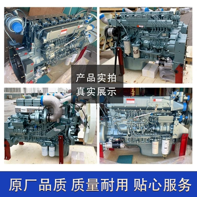 Sinotruk Howo Engine, Haowo Engine assembly
