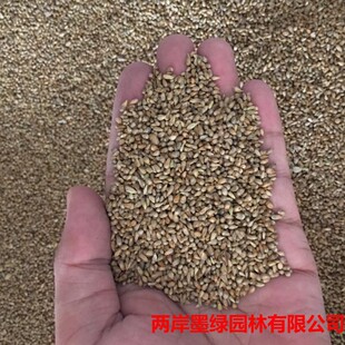 �s����β�ݸ߮a�������L���������� ��β�ݷN�� �׷Nֲ���ݷN��