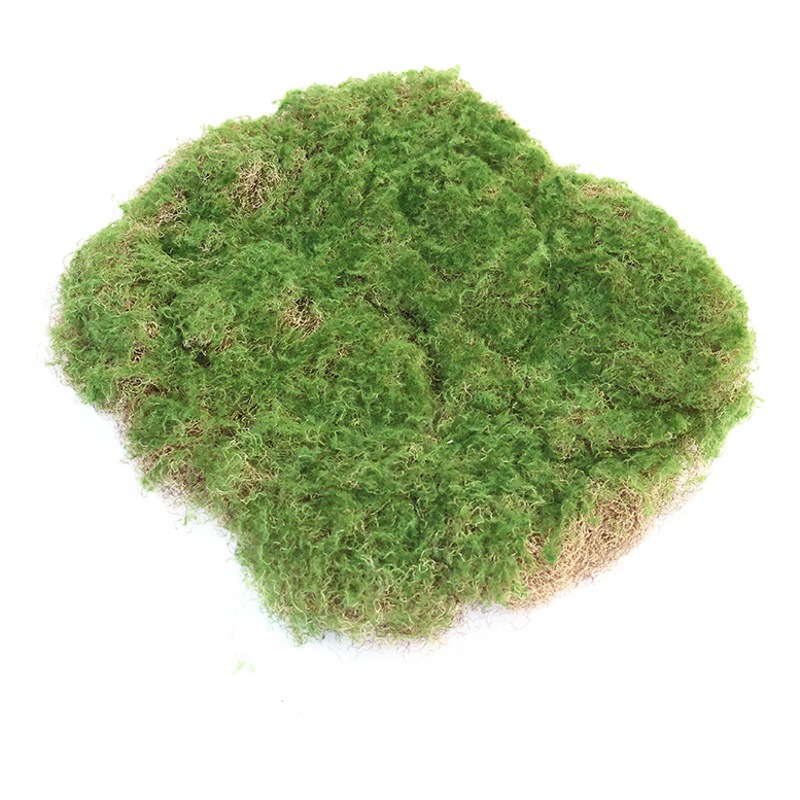 Simulation green moss turf lawn plant wall landscape soft loading field background window display bonsai bonsai fake Moss