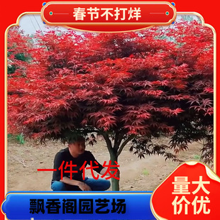 һ�����l�t�������Ї������t�ձ��t���t�輧ͥԺ�e���ļ��t���Ե�