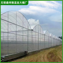 ���ҏS���I���a�B�w���� ������B����������� ���﹤���OӋ���b