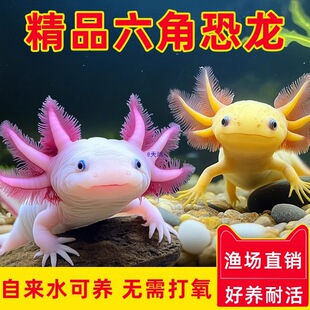 ���ǿ����~��ˮ�~ϔ�ˮ�匙����w��������ˮ���B�׻��^�p�W�t�~