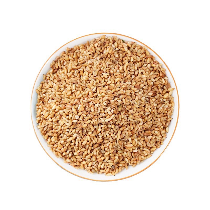 Platycladus Seed Bai Zi Ren 1000g Dried Platycladus orientalis Seeds for Herbal Decoction in use