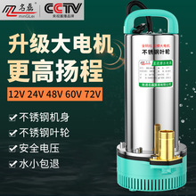 直流潜水泵12v24v48v60v72伏家用电瓶电动车专用抽水泵小型灌溉机