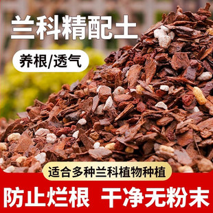 �m���������I�B��ֲ�Ͼ����m�����m�m�����w���߶��ɘ�Ƥ�N�m���B