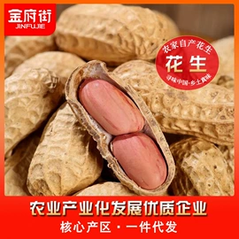 待煮面条;其他蔬菜;方便面类