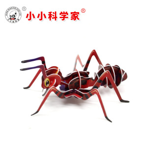 СС�ƌW�����x�J֪Λρ�׃����������̾߼��|ƴ�b�ֹ�diy����