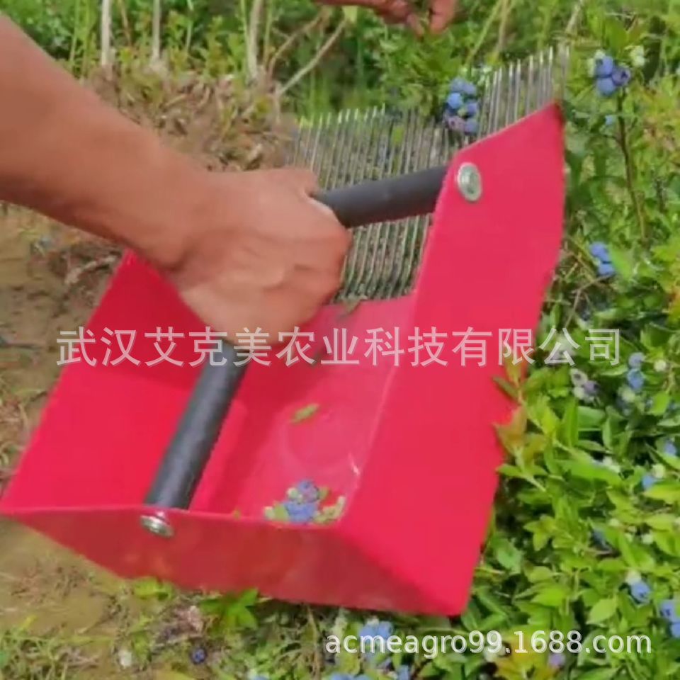 Blueberry picker 2