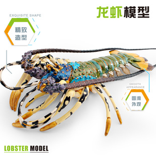 �羳��ͯ���溣����ﲨ�y���rģ�Ͱ������r�����r��������[��