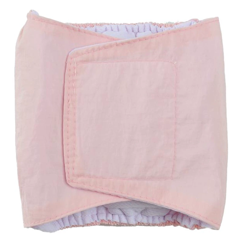 Специальное предложение физиологические штаны для собак женские менструальные безопасные штаны мужские гигиенические подгузники для собак противотравящие подгузники для течки