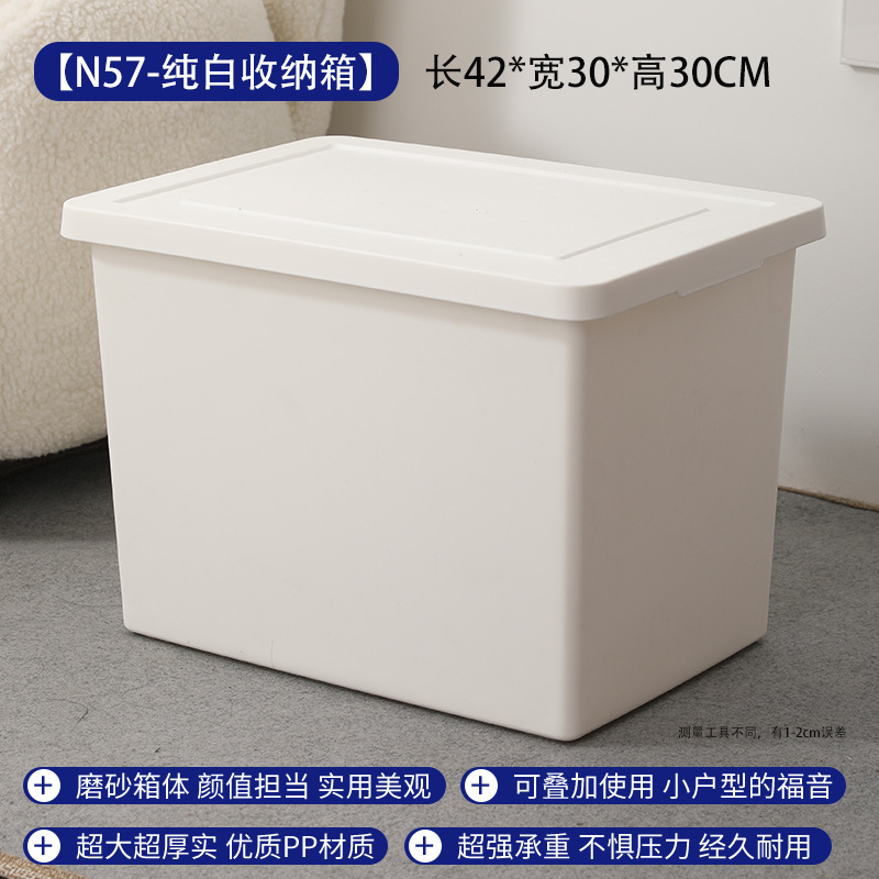 순수한 백색 N57 (신규)