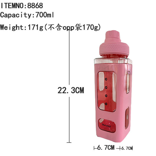Wholesale square straw plastic sports water bottle high-looking square cup double-layer convenient handle kettle cross-border e-commerce