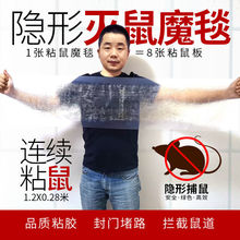 老鼠粘强力粘鼠板胶粘大老鼠粘鼠毯捕老鼠贴克星家用加厚沾鼠器