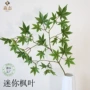 迷你酒店客厅仿真树叶