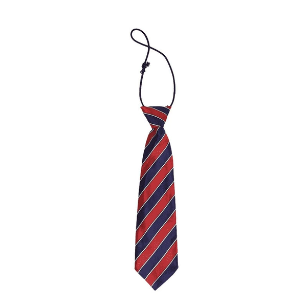 Red and blue tie