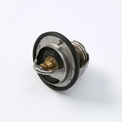 Thermostat / 78 ℃ Thermostat