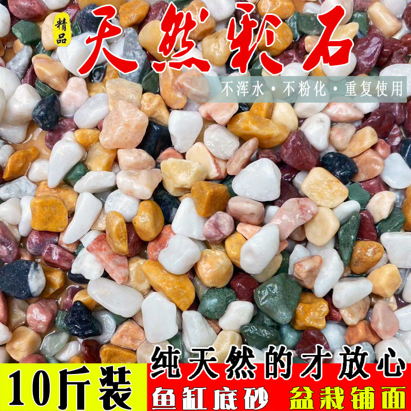 Natural Rainstone Polynut Popular Pot Plant Hydroponic Plants…