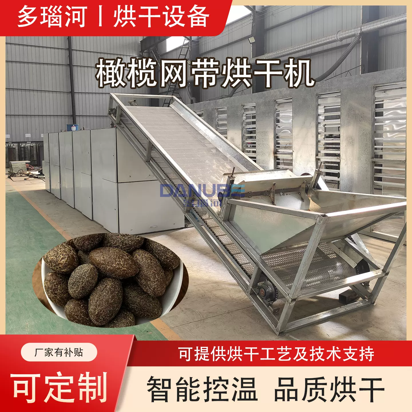 青果红榄乌榄干燥设备 甘榄乌榄脱水除湿烘烤机 橄榄烘干机网带式