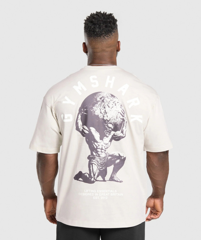 クロスボーダー AliExpress クロスボーダー アメリカ マッスル シャーク Tシャツ ストリート フィットネス 体操 サマー スポーツ フィットネス 半袖 メンズ|undefined