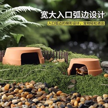 �ڹ���������Ե��Ȼ��Ƭɹ̨�������ǿ�����Ѩ���װ���쾰��Ʒ