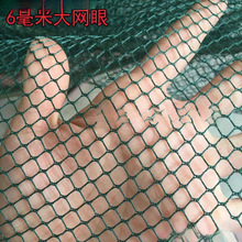 �����O�W���ϾW���~�~�׸��x�W̧�~�W�~�\�D�ϴ������ǾW�۲�