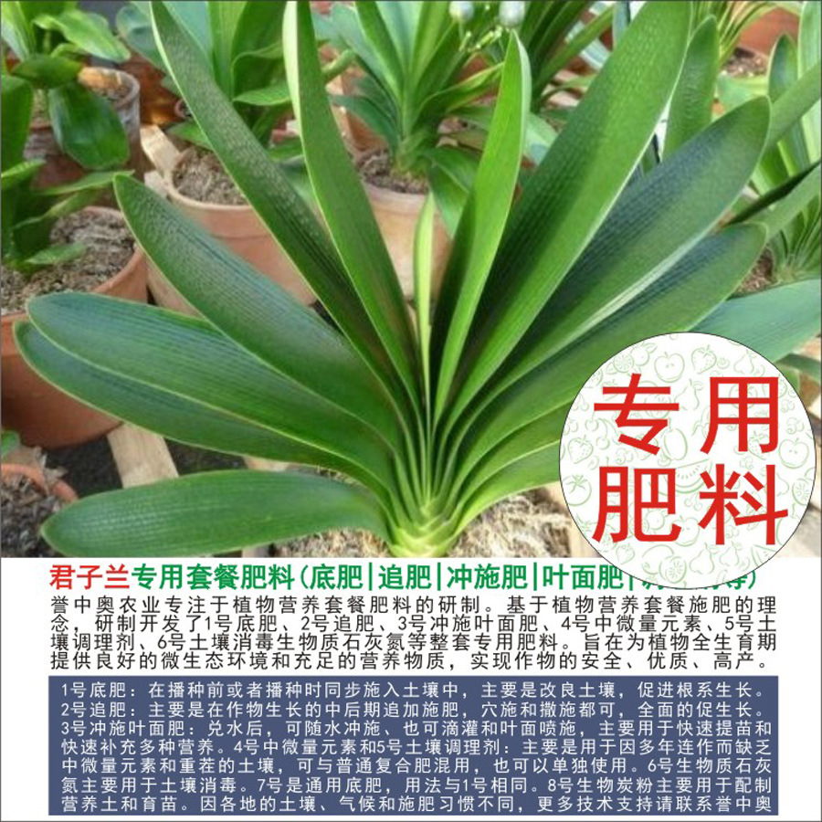 1-50斤誉中奥君子兰专用有机肥复合肥底肥追肥叶面肥冲施肥水溶肥