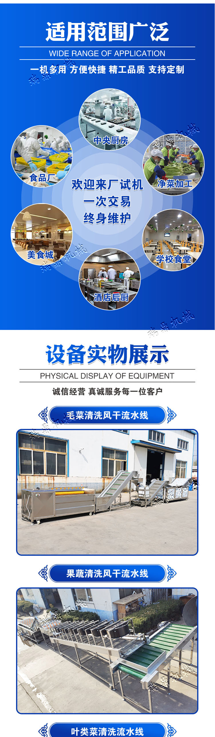 净菜加工 (5).jpg