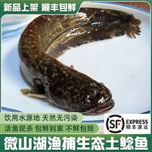 ʮ���΢ɽ��Ұ�������T�~���r���~�����ך���ˮ�T�~���r���~����