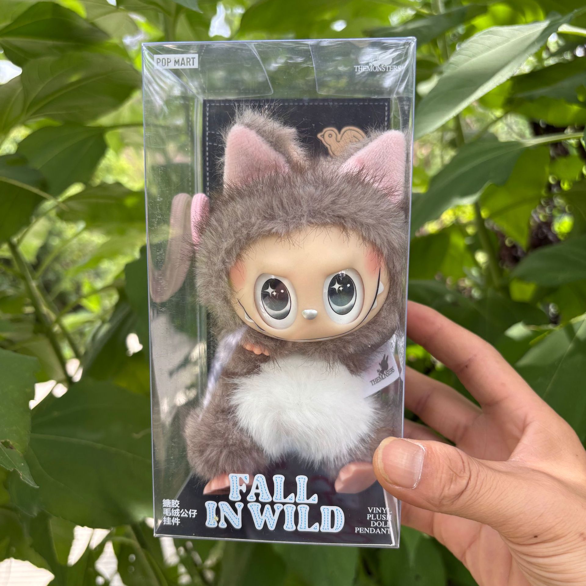 회색 작은 여우