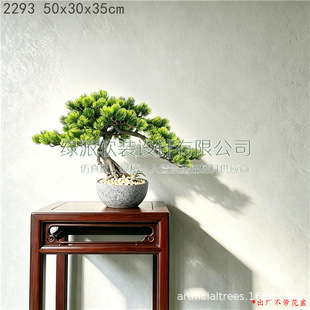 �쾰�b��_�h�ɷ���ӭ���ɘ�����ʽ�҃����P����չ�d���^�M��