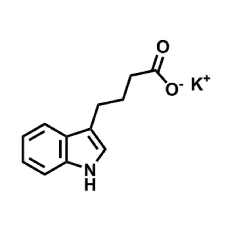 3-吲哚丁酸钾  CAS:60096-23-3  98%  现货供应  价格详询